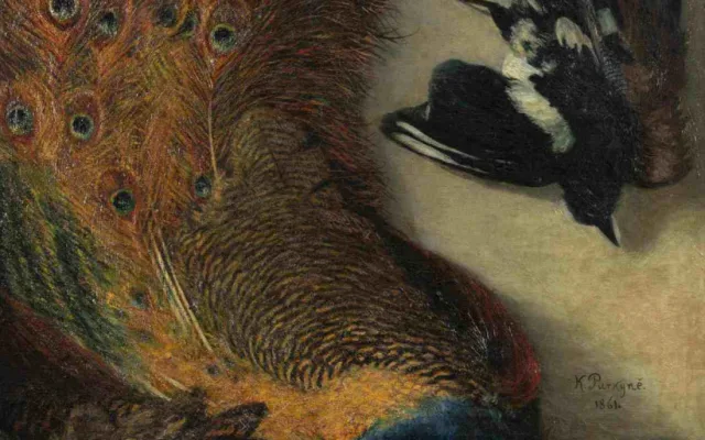 Karel Purkyně, Zátiší s pávem (Cikánova lovecká kořist), 1861, ZČG