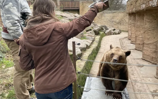 Ze zimního spánku vstali plzeňští medvědi o 50 kilo lehčí, hvězdy večerníčků se zatím rozkoukávají