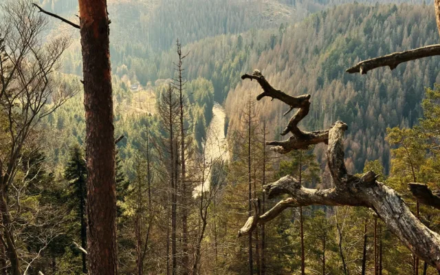 Šumavské Dračí skály nabízí výhled, ze kterého se vám zaručeně podlomí kolena. Miloval je i Karel Klostermann