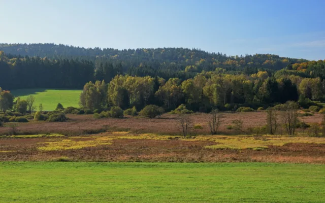 Šetrné zemědělství prospívá krajině, území u Nemanic pokrývají vzácné druhy orchidejí