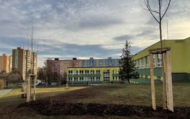 Stovky keřů, desítky stromů i trvalky ve štěrkových záhonech, obvod se ve velkém pustil do výsadby