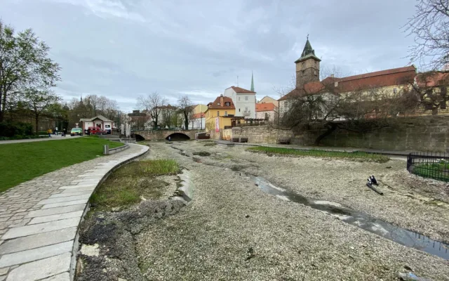 Jezírko přezdívané jako plzeňské Benátky je bez vody i barevných koi kaprů, prochází očistou