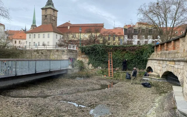 Jezírko přezdívané jako plzeňské Benátky je bez vody i barevných koi kaprů, prochází očistou