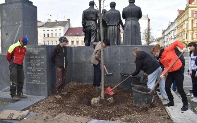 Původní lípu u pomníku T. G. Masaryka umořili lidé a psi močením, druhou polámal vandal, třetí snad už vydrží