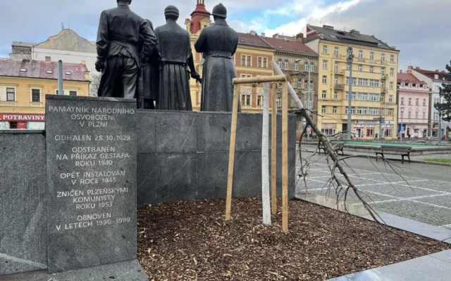 Předchozí mladý strom poškodil vandal