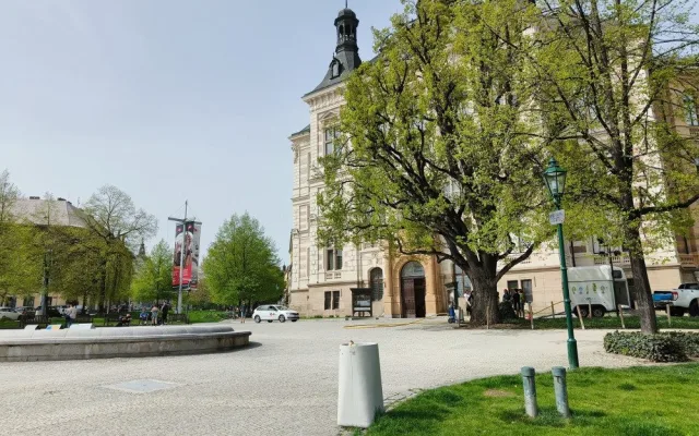Stoletý dub v centru města dostal speciální infuzi, která ho vyživí a ochrání před škůdci