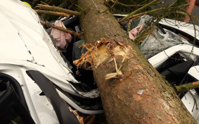 VIDEO: Na jedoucí auto spadl strom. Ze zdemolovaného vozu vyprošťovali hasiči těžce zraněnou ženu