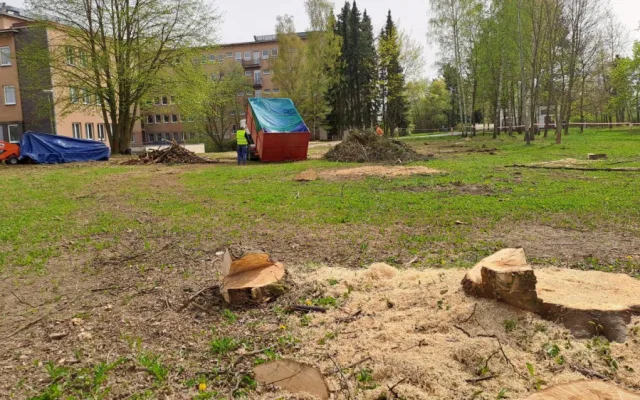 Kácení dřevin a demolice starých garáží. V areálu Rokycanské nemocnice se pohybují dělníci