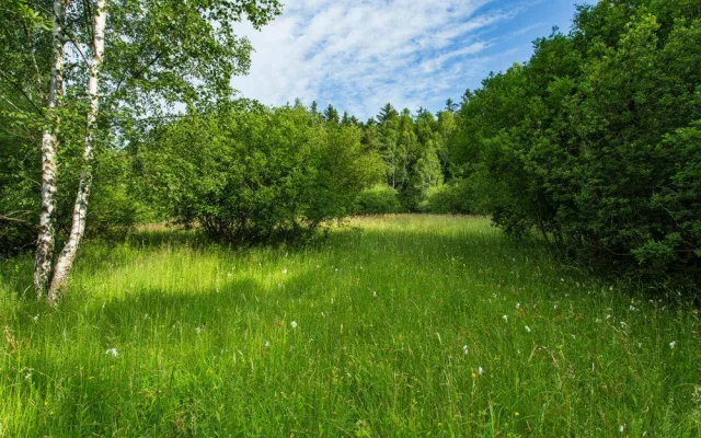 Podmáčená louka se vzácnými masožravkami v Brdech se stala novou přírodní památkou