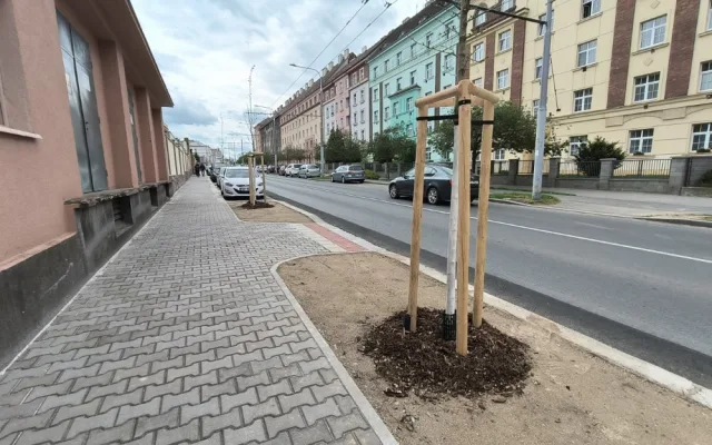 U fakultní nemocnice na Borech vzniklo 52 nových parkovacích míst, přibylo i stromů