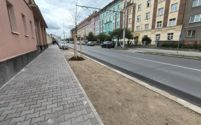 U fakultní nemocnice na Borech vzniklo 52 nových parkovacích míst, přibylo i stromů