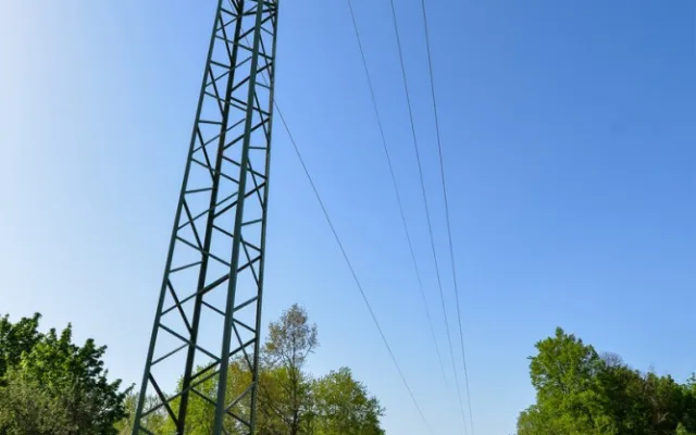 Stromy pod elektrickým vedením v největším městském parku musely pryč, nahradila je rozlehlá louka