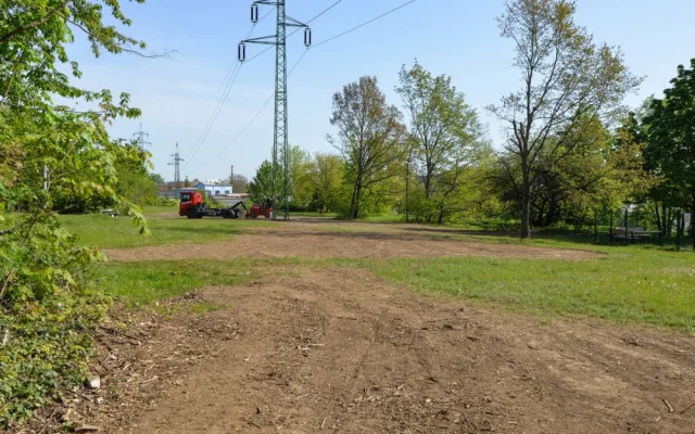 Stromy pod elektrickým vedením v největším městském parku musely pryč, nahradila je rozlehlá louka