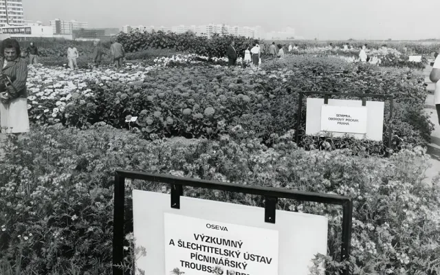 Oslava padesáté Země živitelky bude velkolepá