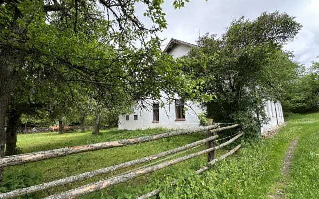Stará škola