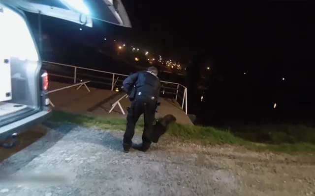 VIDEO: Tady normálně běhá bobr, líčil šokovaný muž. Zavalitý hlodavec si vykračoval kousek od hlavního nádraží