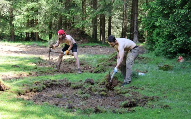 Dobrovolníci pomáhají se záchranou silně ohrožených masožravek, rostou na rašelinné louce u zaniklé obce
