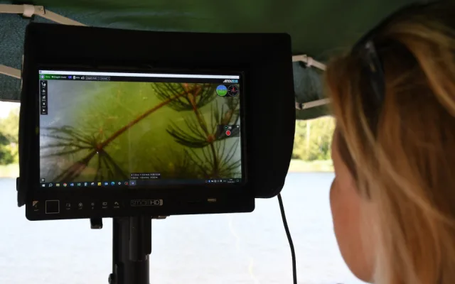 VIDEO: Speciální podvodní dron potvrdil výskyt masožravé rostliny v Seneckém rybníce