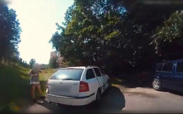 Za řidičku se vydávala spolujezdkyně