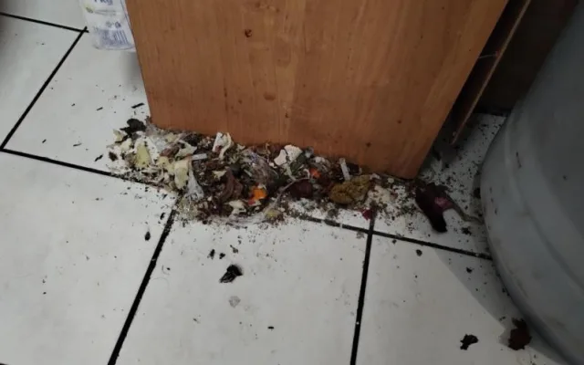 Plesnivé stropy, špína a mrtví švábi na podlaze, inspekce uzavřela zanedbaný Kebab house