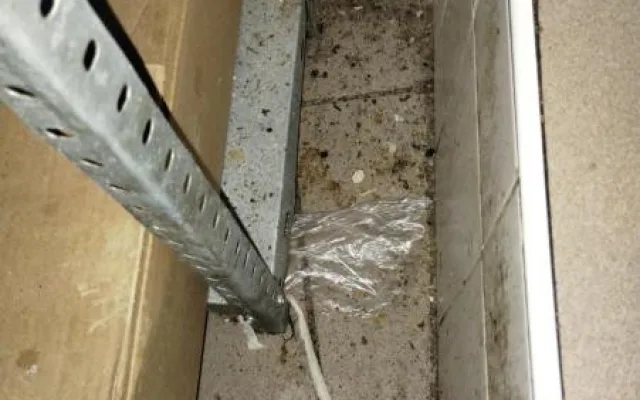 Plesnivé stropy, špína a mrtví švábi na podlaze, inspekce uzavřela zanedbaný Kebab house