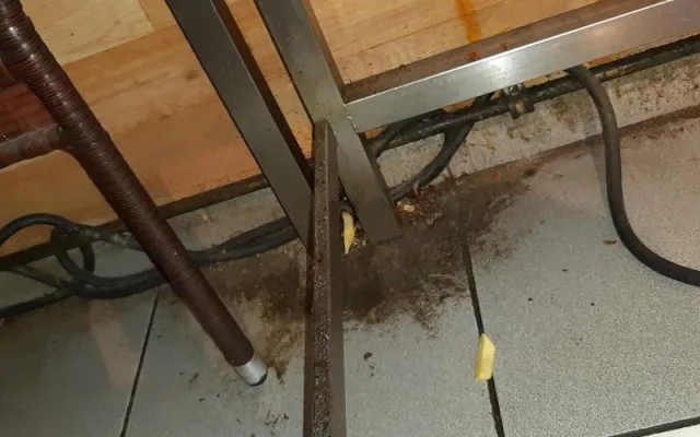Plesnivé stropy, špína a mrtví švábi na podlaze, inspekce uzavřela zanedbaný Kebab house