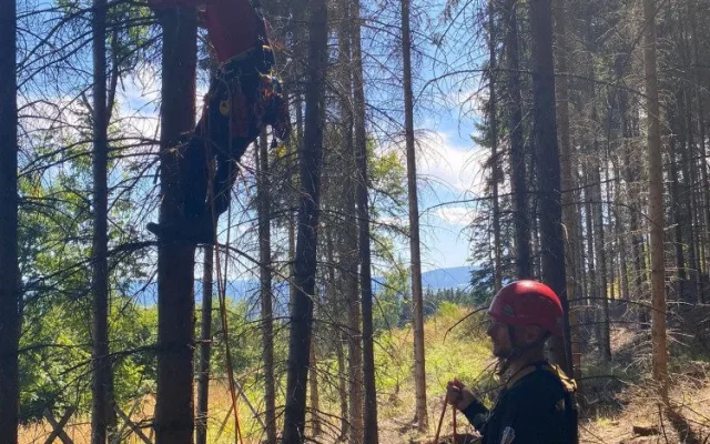Šumavští horští záchranáři sundávali ze stromu dalšího paraglidistu, uvízl ve dvanáctimetrové výšce