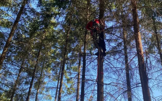 Šumavští horští záchranáři sundávali ze stromu dalšího paraglidistu, uvízl ve dvanáctimetrové výšce
