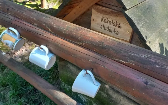 Lesnici obnovili tři studánky v lesích na Kokotsku, podél stezky je i ta s kuriozním názvem U Čůráčku