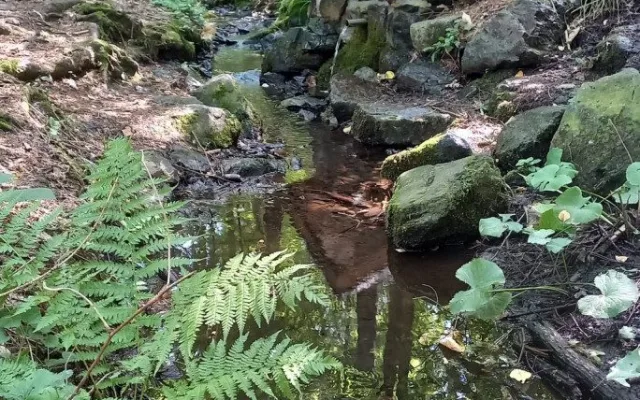 Lesnici obnovili tři studánky v lesích na Kokotsku, podél stezky je i ta s kuriozním názvem U Čůráčku