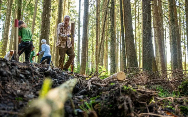 Desítky dobrovolníků pomáhaly s obnovou mokřadů a rašelinišť v Národním parku Šumava