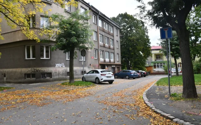Ulice Kapitána Jaroše se dočká opravy vozovky i chodníků, dožívající jasany půjdou pryč