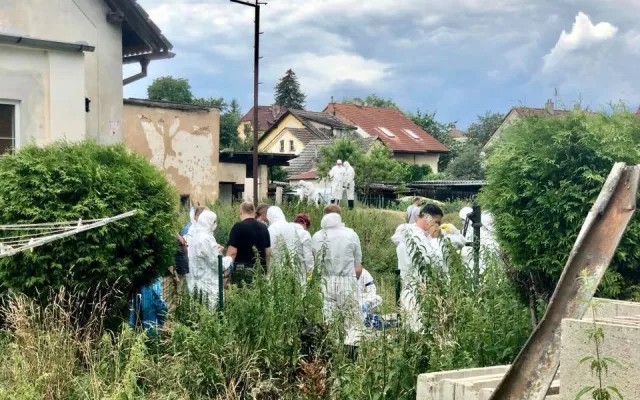 Majitelka otřesné množírny psů neuspěla se stížností u Ústavního soudu, podmínka za týrání stále platí