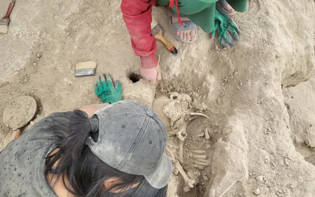 Plzeňští archeologové zkoumají dosud neprobádané oblasti na Hedvábné stezce