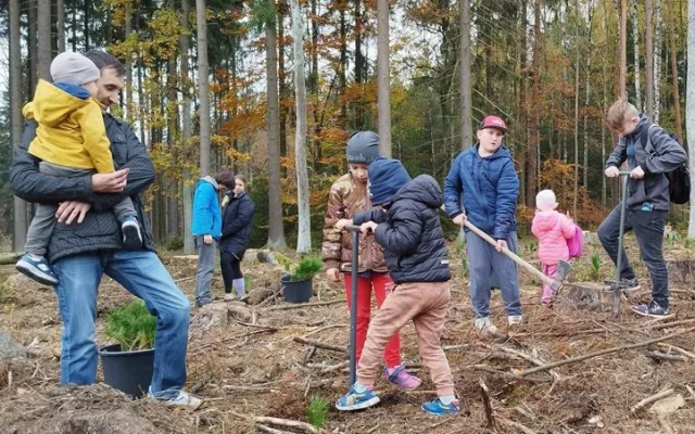 Malí i velcí Plzeňané na podzim vysázeli tisíce stromků. Městský les V Pytli ožil po kůrovcové kalamitě