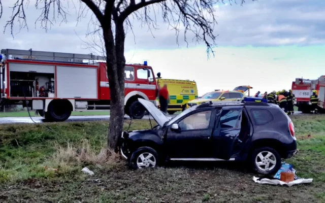 Auto začalo po nárazu do stromu hořet. Jeden ze svědků ihned přispěchal s hasicím přístrojem