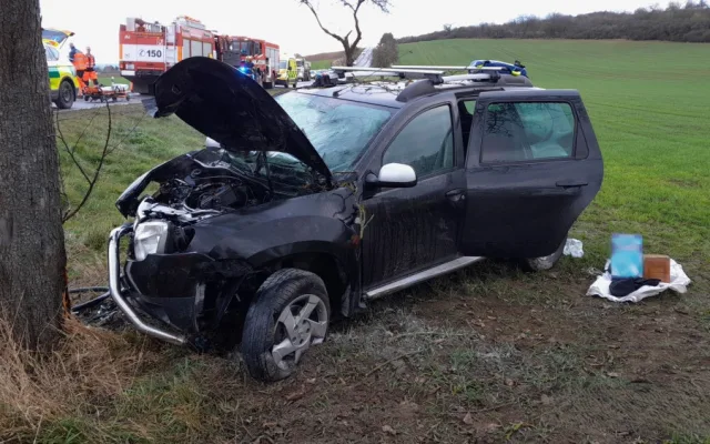 Auto začalo po nárazu do stromu hořet. Jeden ze svědků ihned přispěchal s hasicím přístrojem