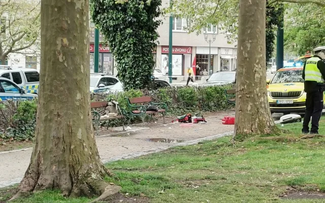 Za vraždu partnerky půjde bezdomovec na 10 let do vězení, ženu zabil za bílého dne přímo v centru města