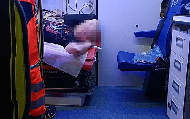 Případ u ulice Pallova