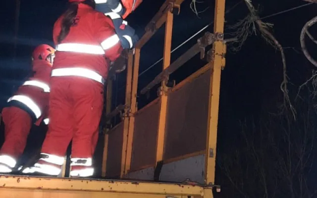Hasiče na západě Čech potrápil silný vítr, vyjížděli k desítkám událostí
