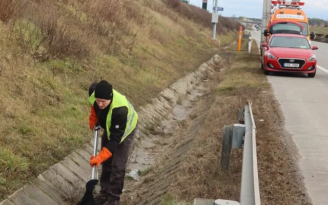 Lišku srazilo na dálnici D5 auto. Těžce zraněnou samici nechtěl opustit její partner a neustále vbíhal do vozovky