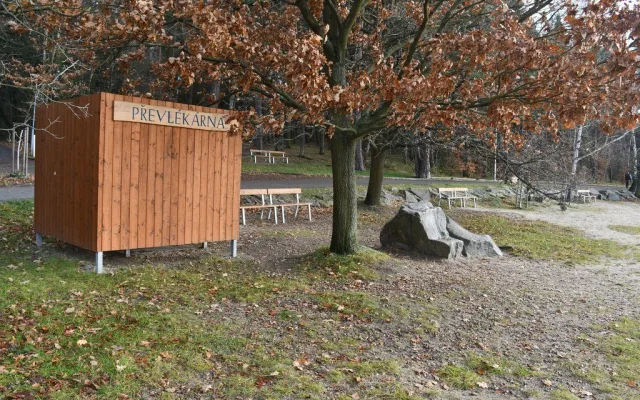 Město nechá vylepšit oblíbené pláže a břehy Velkého boleveckého rybníka, naveze se tam nový písek