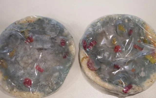 Polská mražená pizza obsahovala porci plísně navíc, prodával ji oblíbený řetězec
