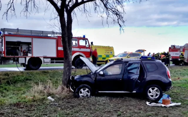 VIDEO: Žena zůstala po nárazu do stromu uvězněná v hořícím autě. Muž ji vysvobodil a nyní získal ocenění