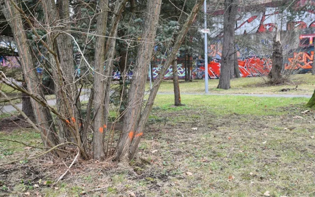 Nejstarší uměle založený park v Plzni čeká třetí etapa revitalizace. Vznikl už v roce 1833