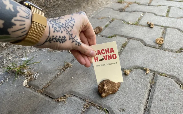 Proti psím exkrementům na chodnících bojuje originálním způsobem mladá žena. Zabodne do nich úderný vzkaz