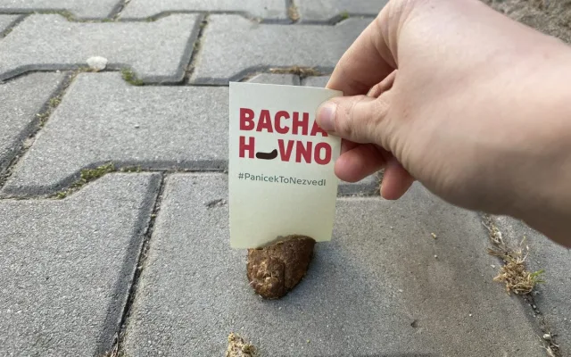 Proti psím exkrementům na chodnících bojuje originálním způsobem mladá žena. Zabodne do nich úderný vzkaz