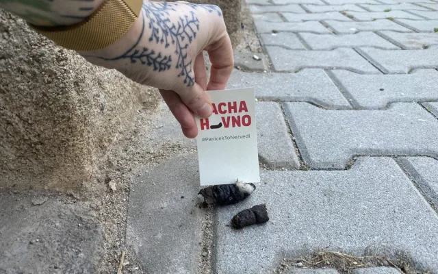 Proti psím exkrementům na chodnících bojuje originálním způsobem mladá žena. Zabodne do nich úderný vzkaz
