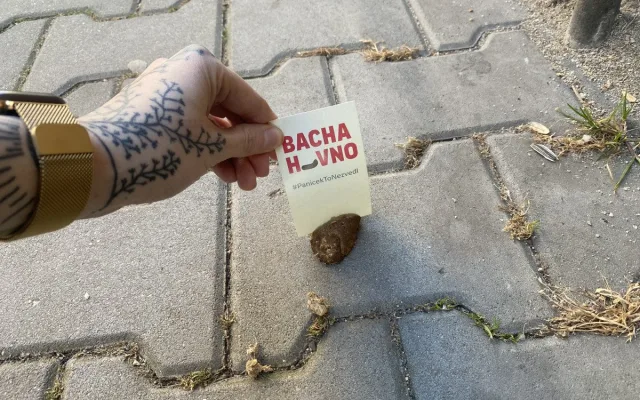 Proti psím exkrementům na chodnících bojuje originálním způsobem mladá žena. Zabodne do nich úderný vzkaz