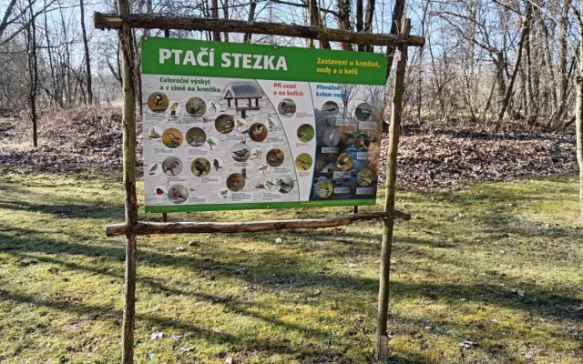 Sýkorky i brhlíci si oblíbili ptačí budky na Božkovském ostrově, radnice tam plánuje i kvetoucí loučky